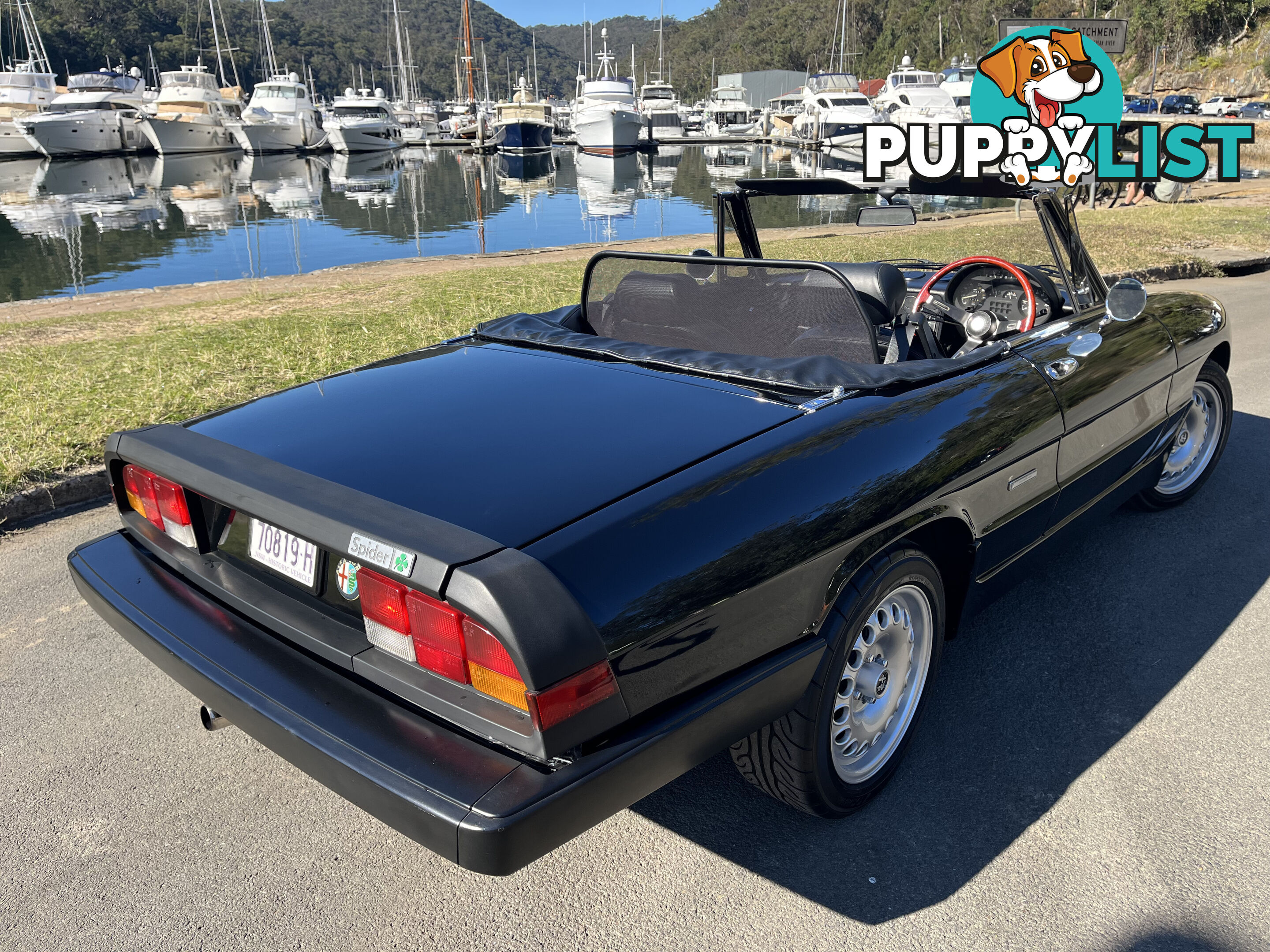 1983 Alfa Spider