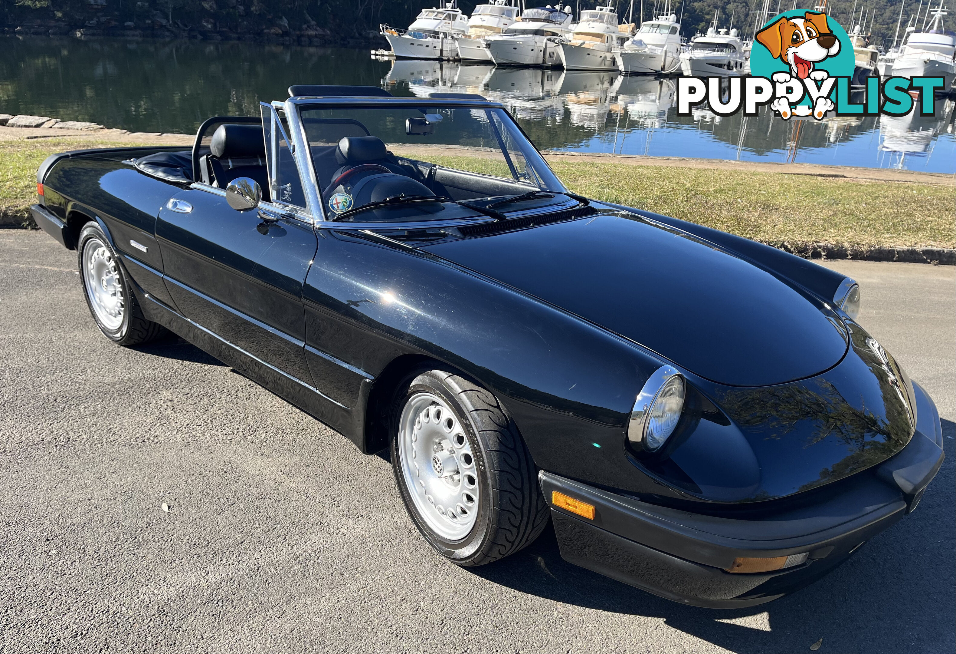 1983 Alfa Spider