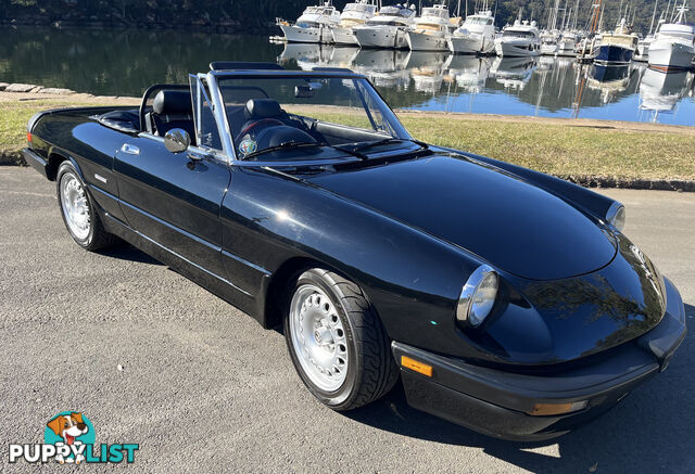 1983 Alfa Spider