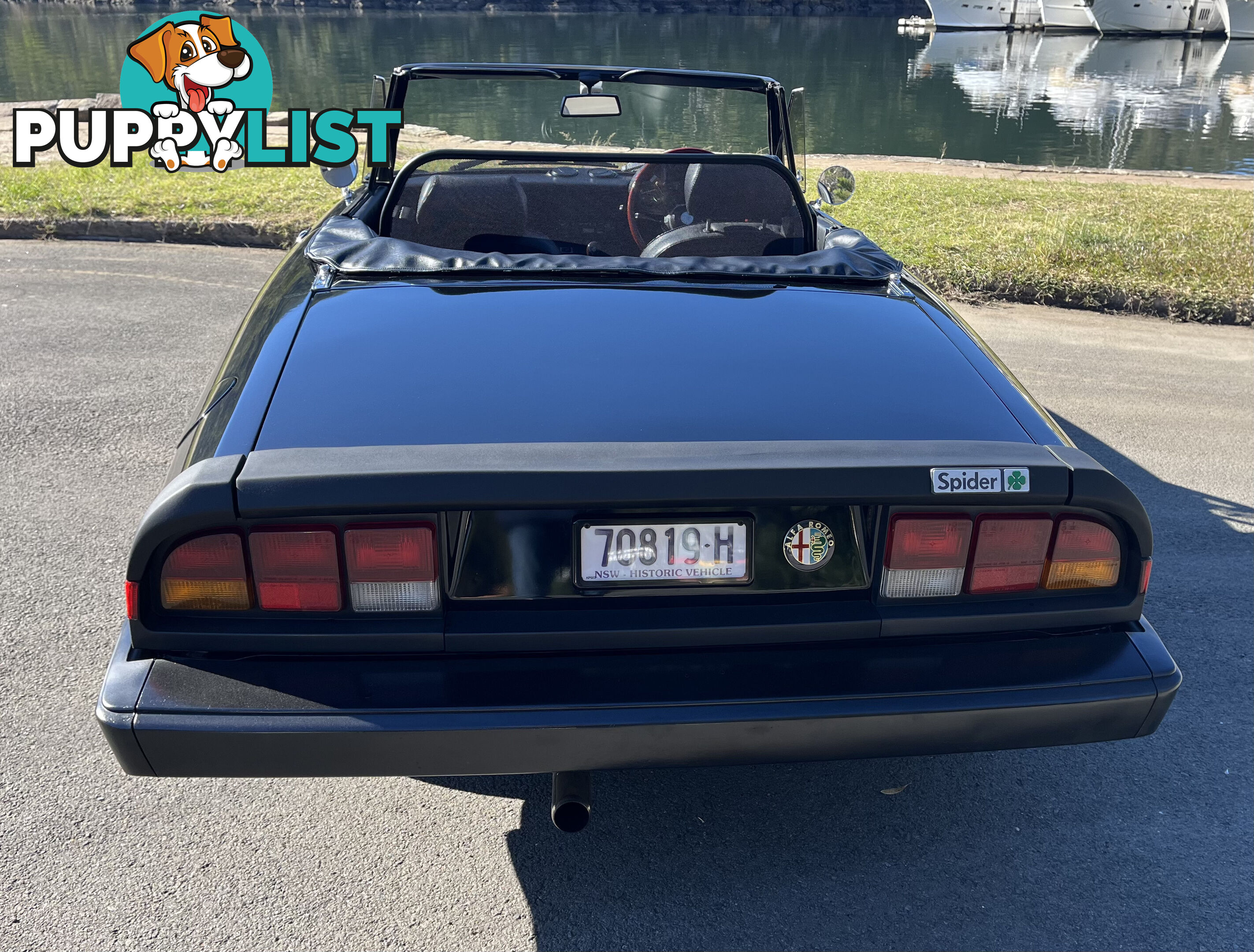 1983 Alfa Spider