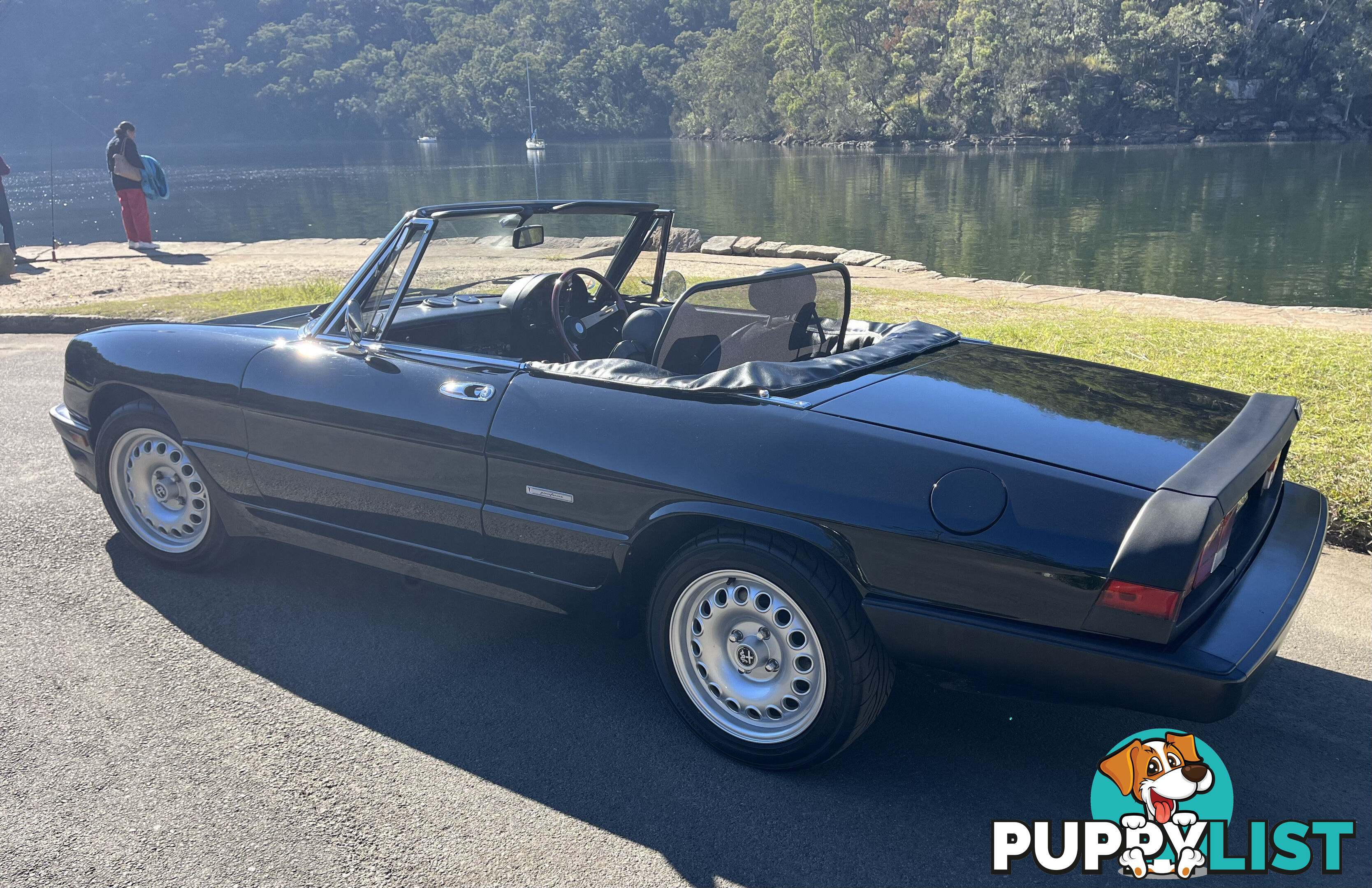 1983 Alfa Spider