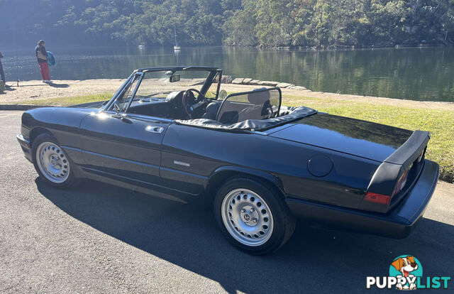 1983 Alfa Spider