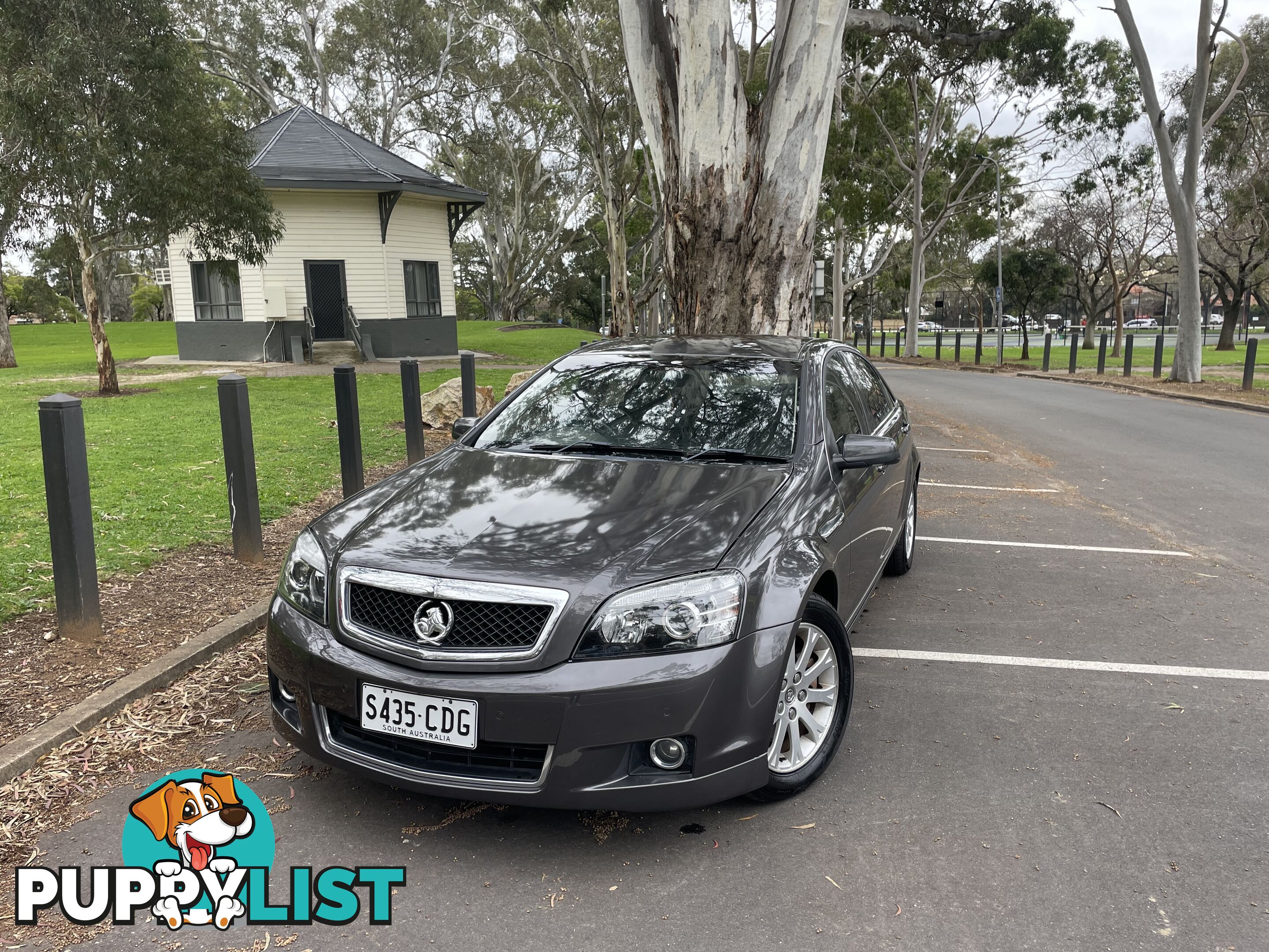 2009 Holden Statesman WM MY10 V8 Sedan Automatic