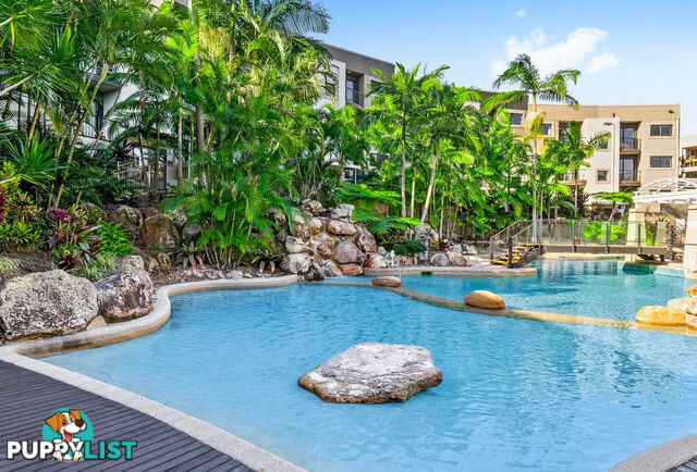 E8/1 Great Hall Drive MIAMI QLD 4220