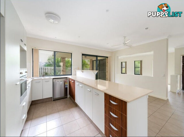 14 Shawnee Crescent PIMPAMA QLD 4209