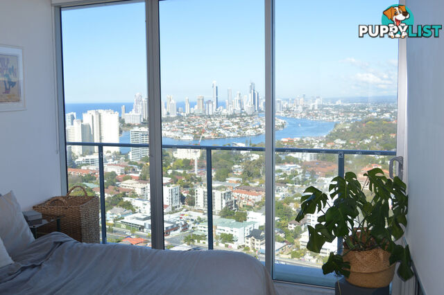 33205/9 Lawson Street SOUTHPORT QLD 4215