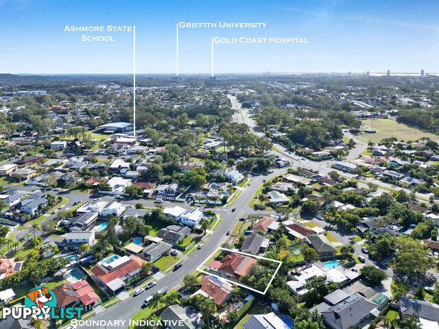 14 Tumbarumba Avenue ASHMORE QLD 4214