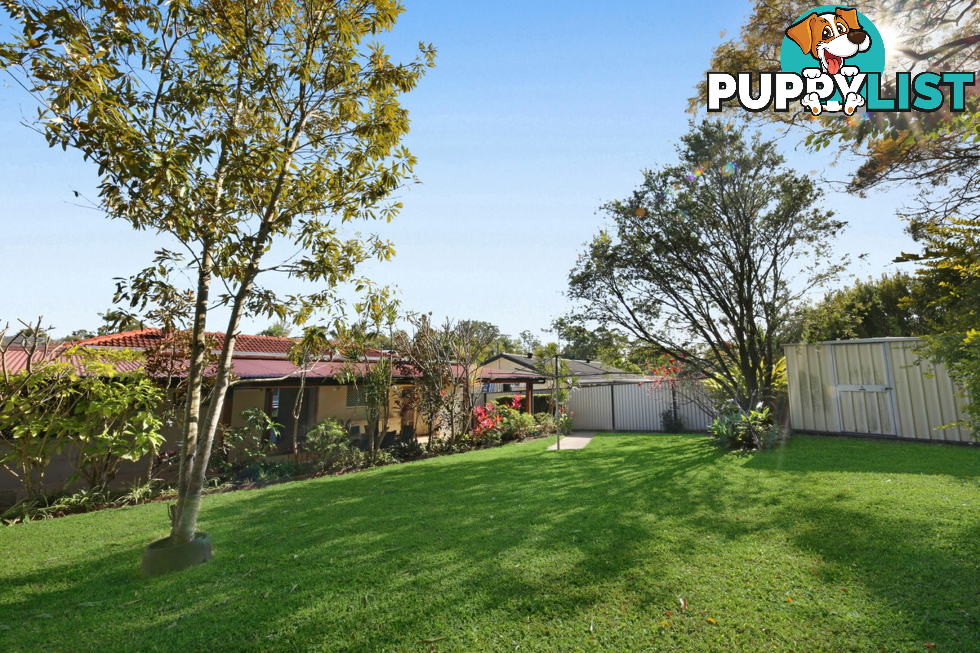 14 Tumbarumba Avenue ASHMORE QLD 4214