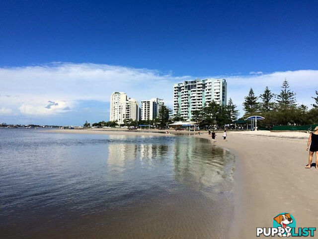 6/264 Marine Parade LABRADOR QLD 4215