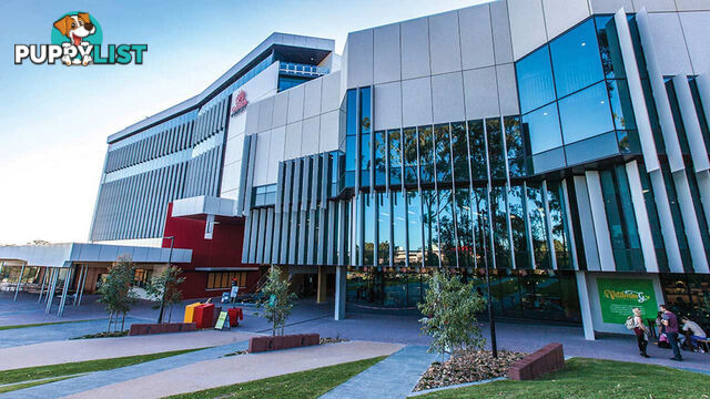 61/61 North Street SOUTHPORT QLD 4215