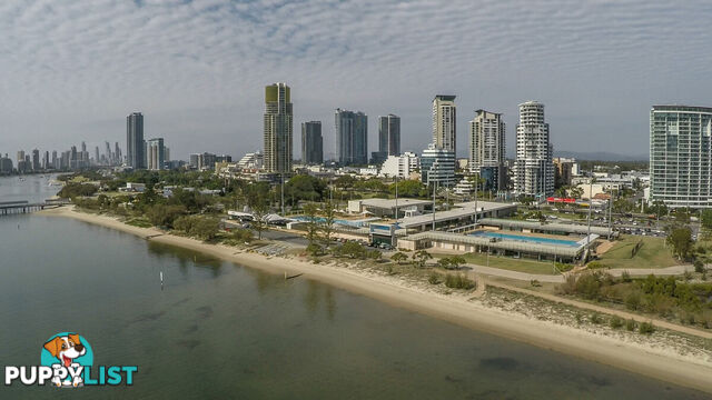 61/61 North Street SOUTHPORT QLD 4215