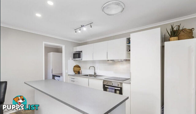 1/179 Olsen Avenue LABRADOR QLD 4215