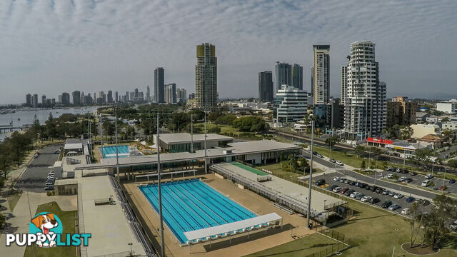 3/91 Queen Street SOUTHPORT QLD 4215