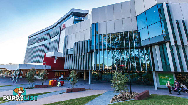 3/91 Queen Street SOUTHPORT QLD 4215
