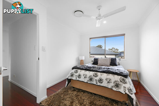 2/3 Blake SOUTHPORT QLD 4215
