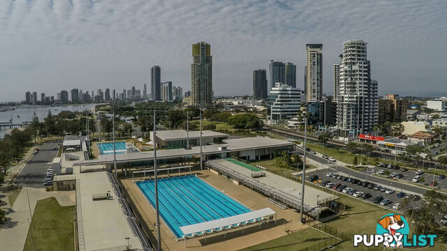 9/3-5 Norman Street SOUTHPORT QLD 4215
