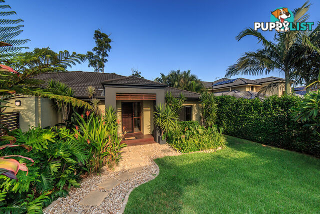 24 Golden Bear Drive ARUNDEL QLD 4214