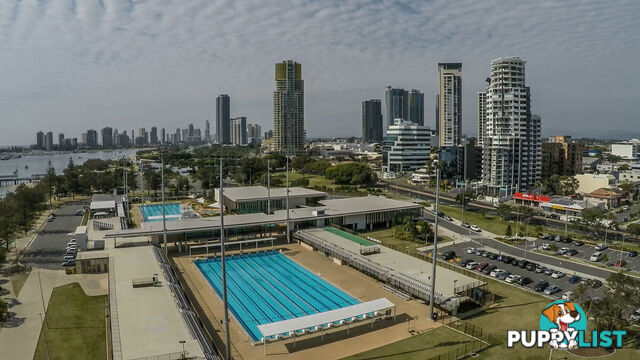 2/17 William Street SOUTHPORT QLD 4215