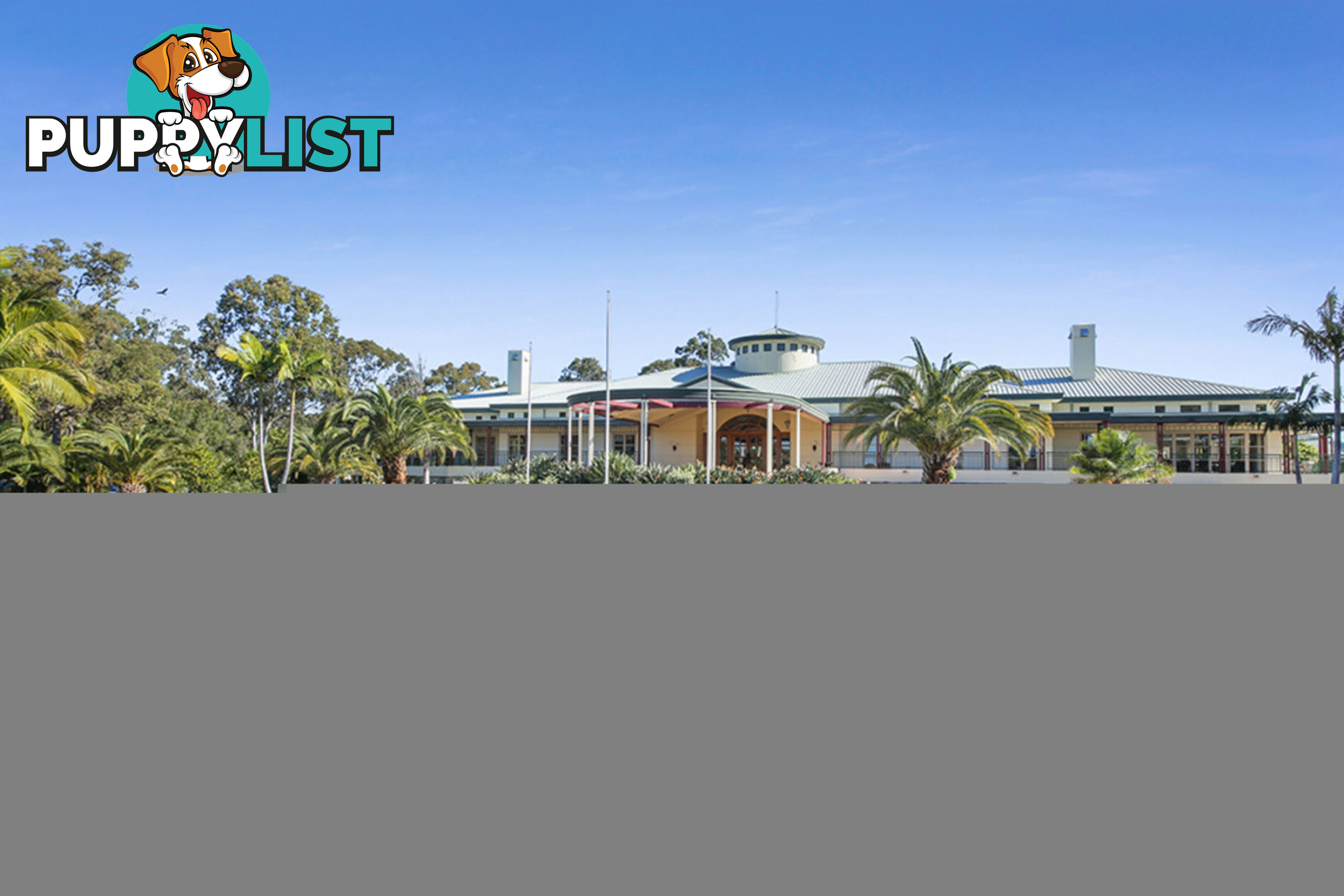 92 Arun Drive ARUNDEL QLD 4214