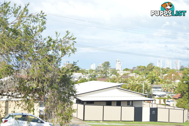 6 Wilson Street LABRADOR QLD 4215