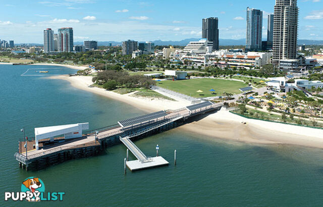 11/140 Marine Parade SOUTHPORT QLD 4215