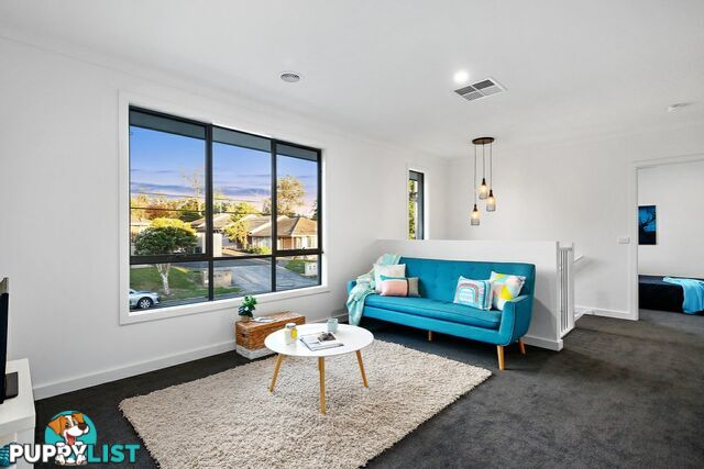 428 Canterbury Road FOREST HILL VIC 3131