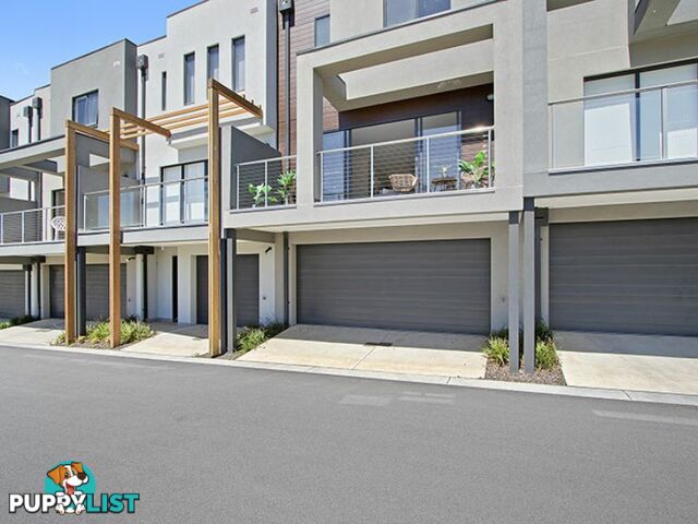 13 Linacre Drive BUNDOORA VIC 3083