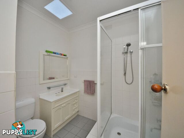 19 Herbert Street RINGWOOD VIC 3134