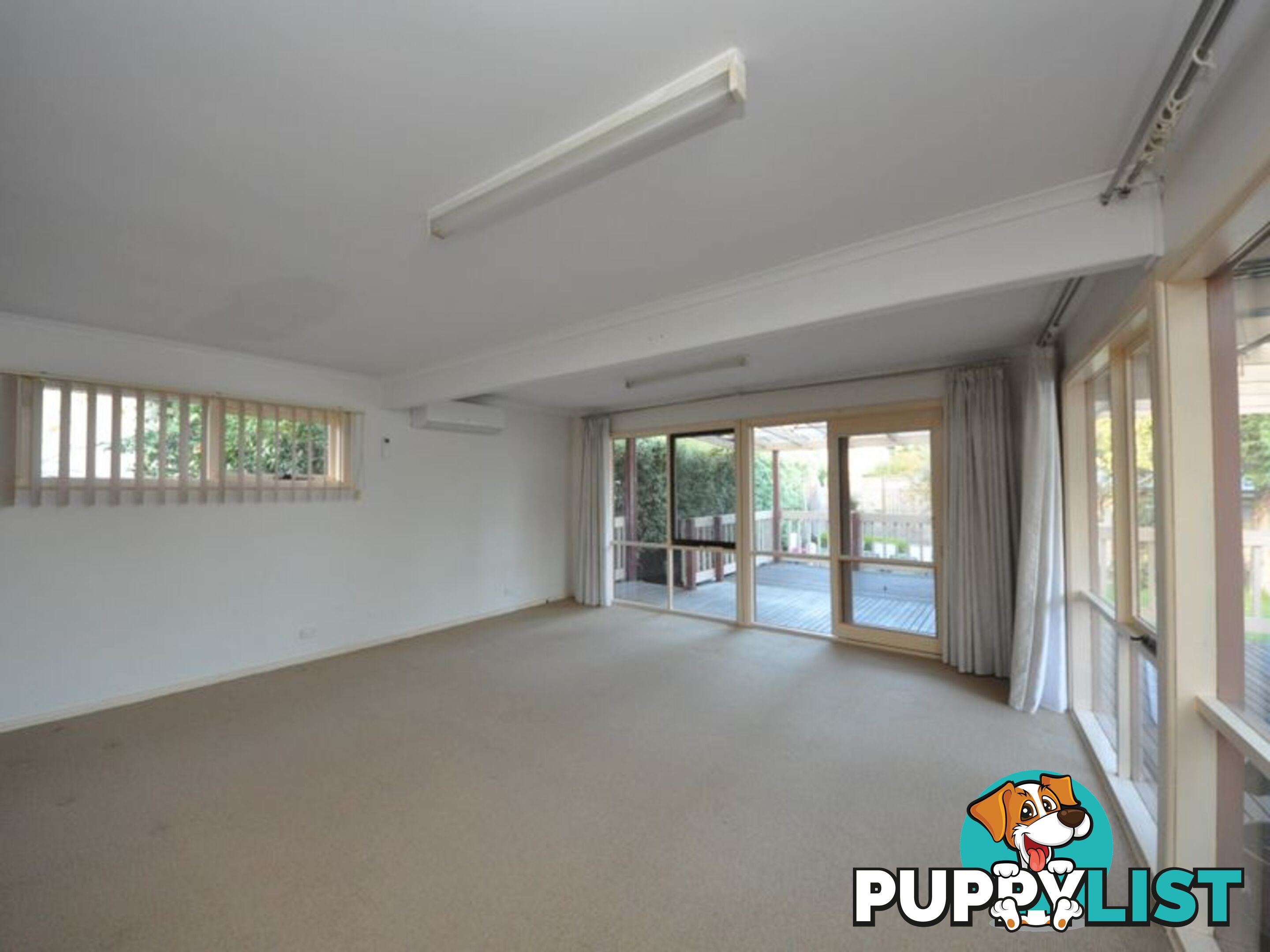 19 Herbert Street RINGWOOD VIC 3134