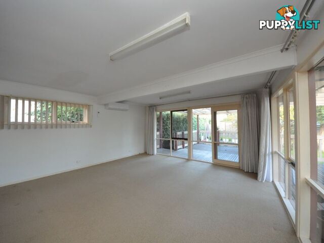 19 Herbert Street RINGWOOD VIC 3134