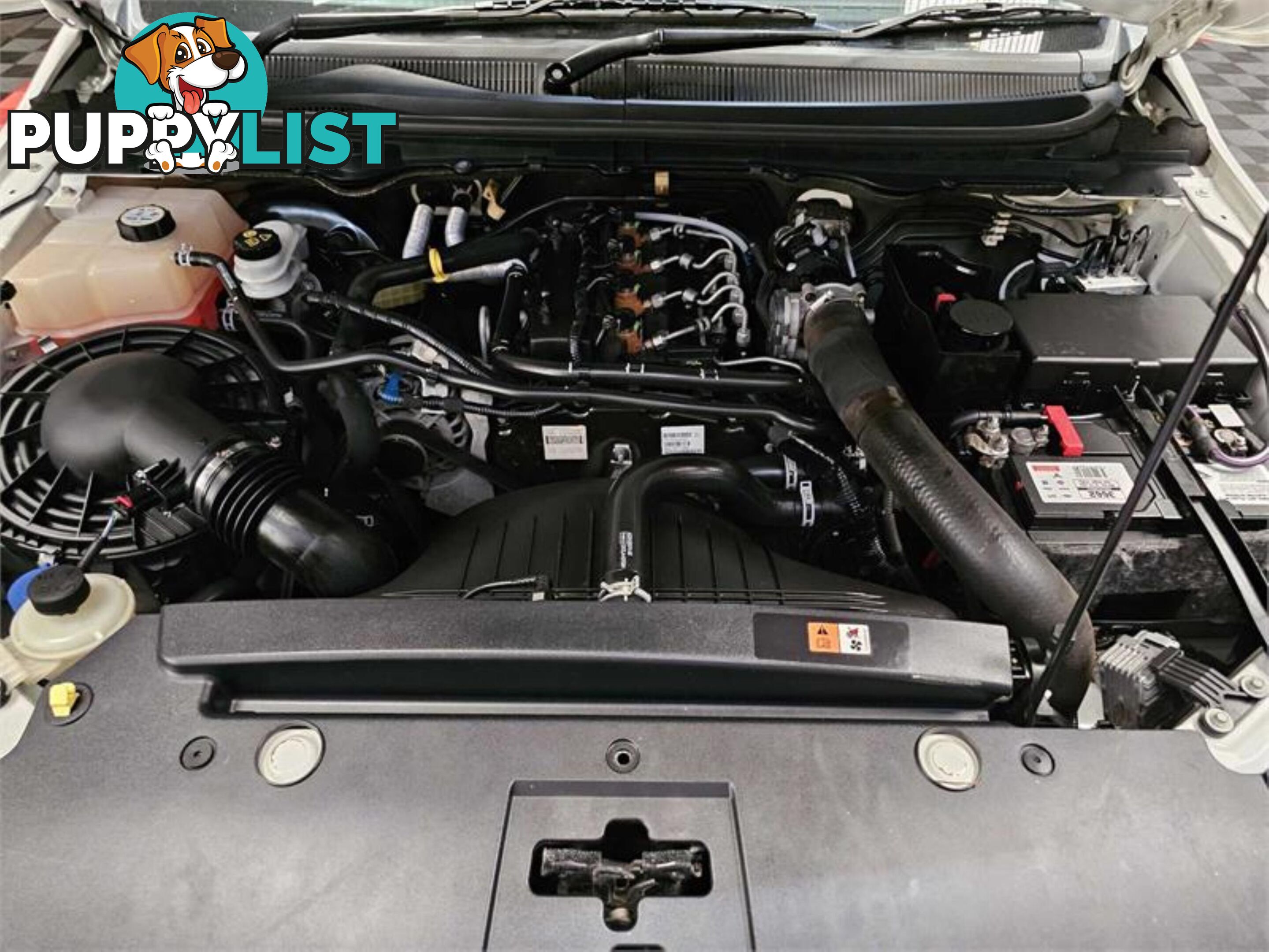 2012 FORD RANGER XL2 2 PX CREW C/CHAS