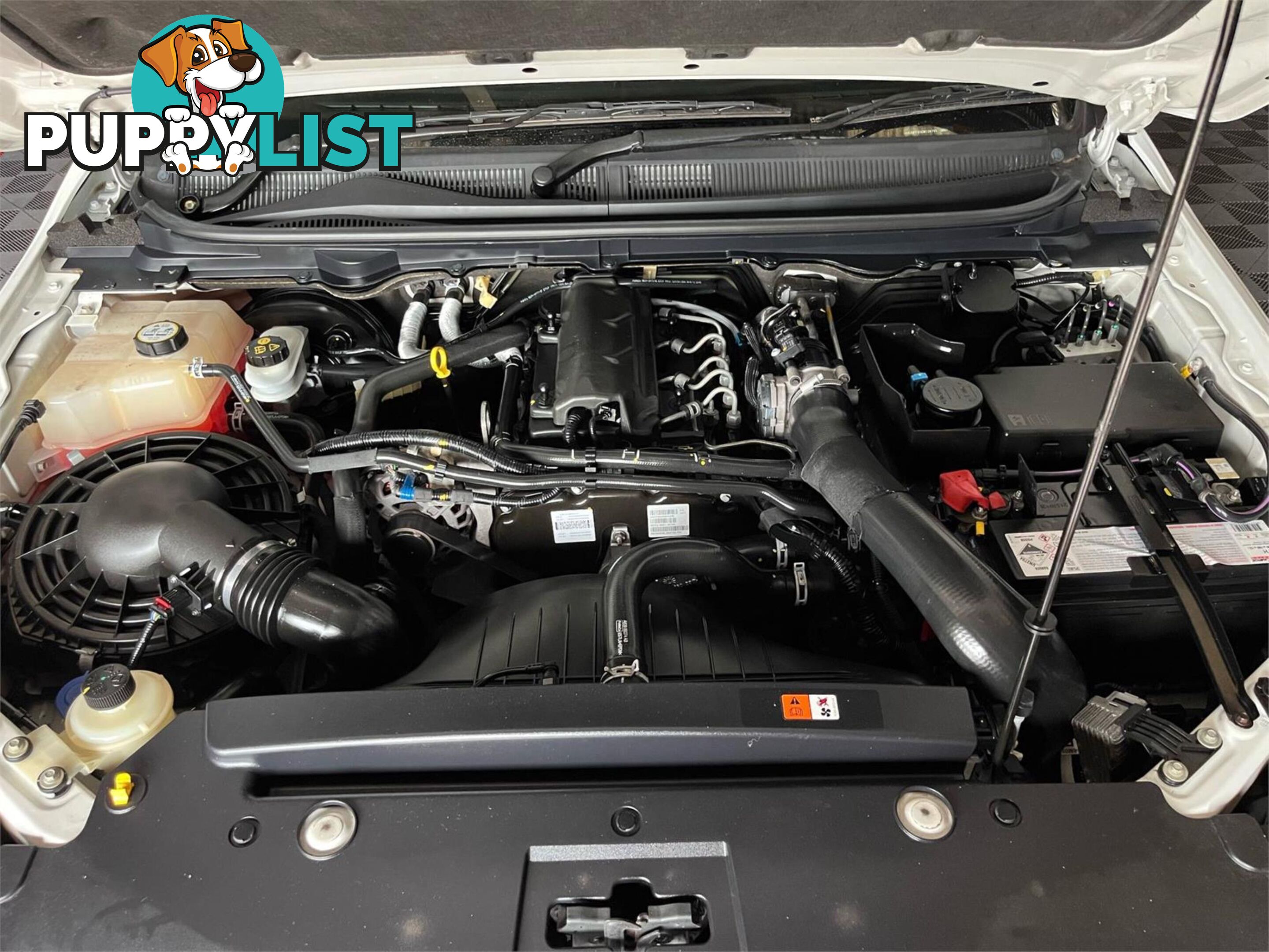 2012 FORD RANGER XL2 2 PX CREW CAB UTILITY