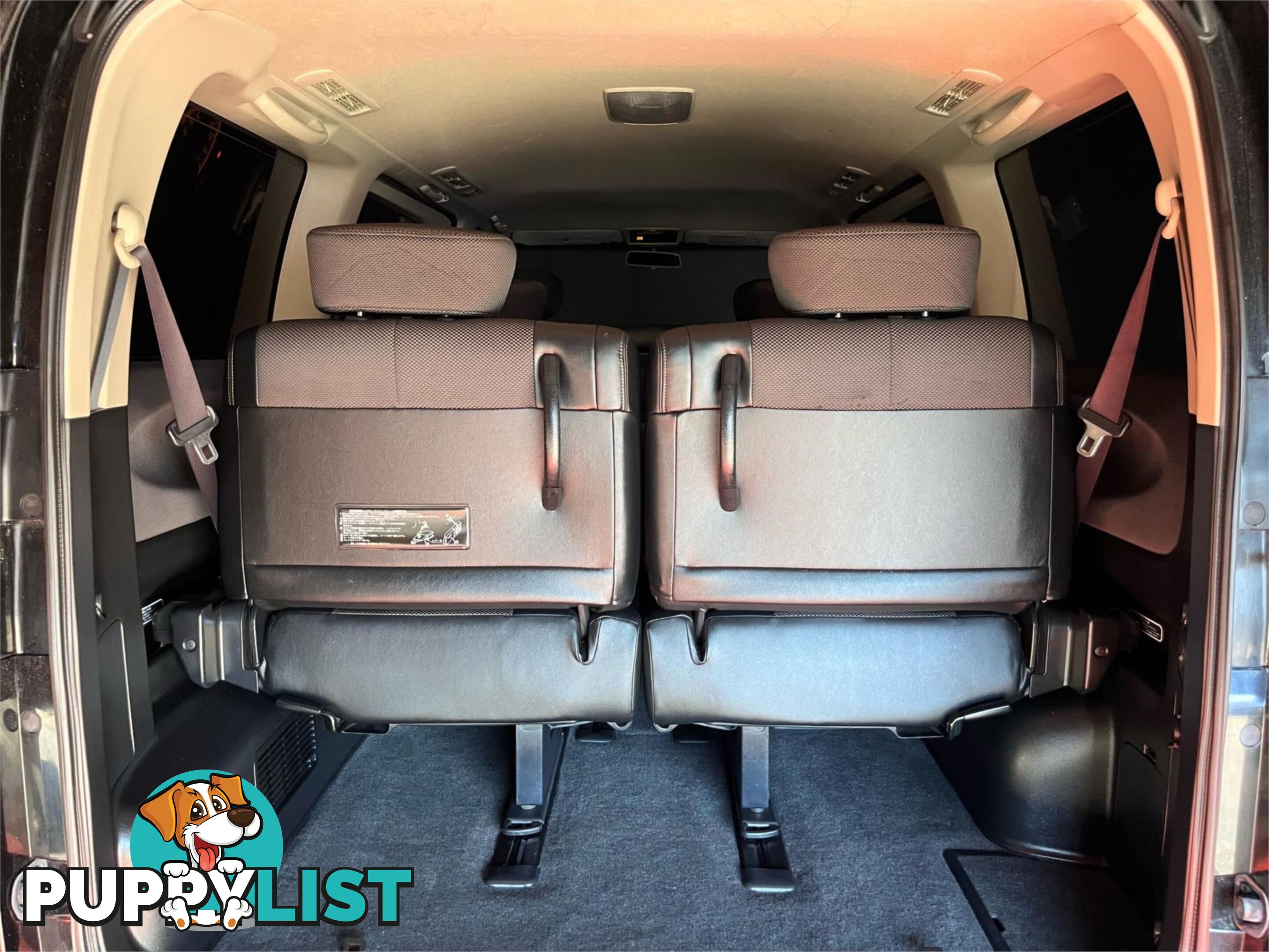 2005 NISSAN ELGRAND  E51 4D WAGON
