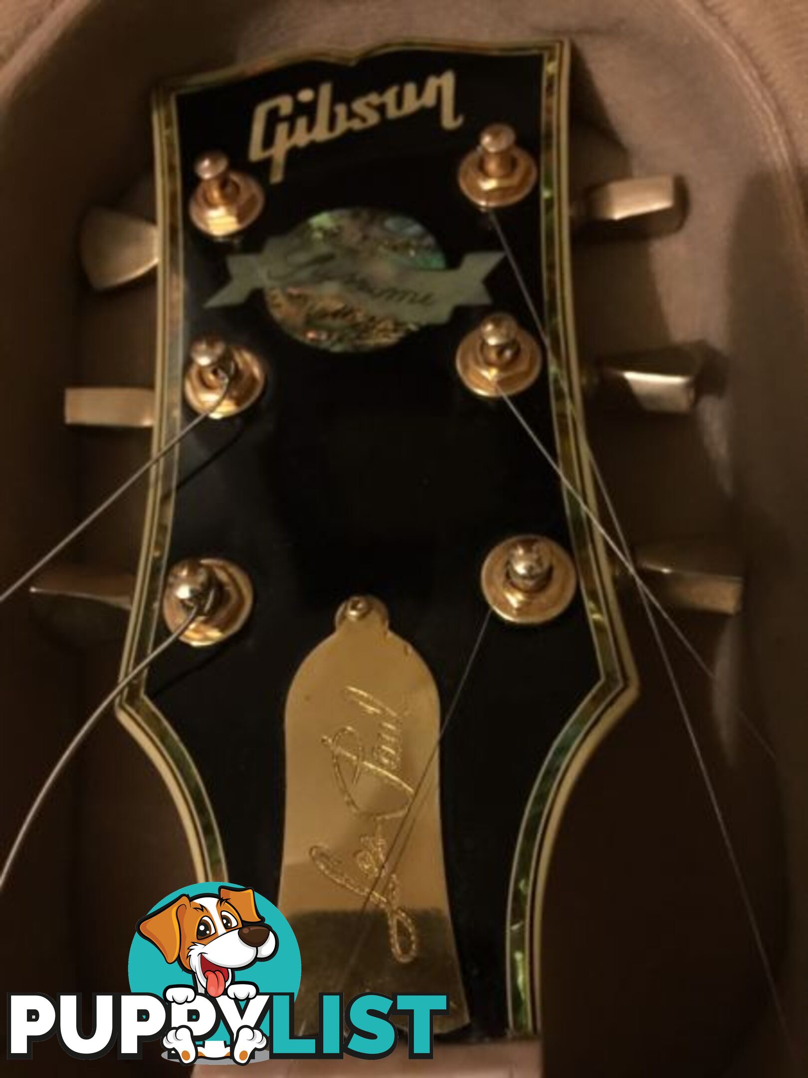 GIBSON Les Paul "SUPREME" / Tree Of Life / RARE / U.S.A / SWAPS?