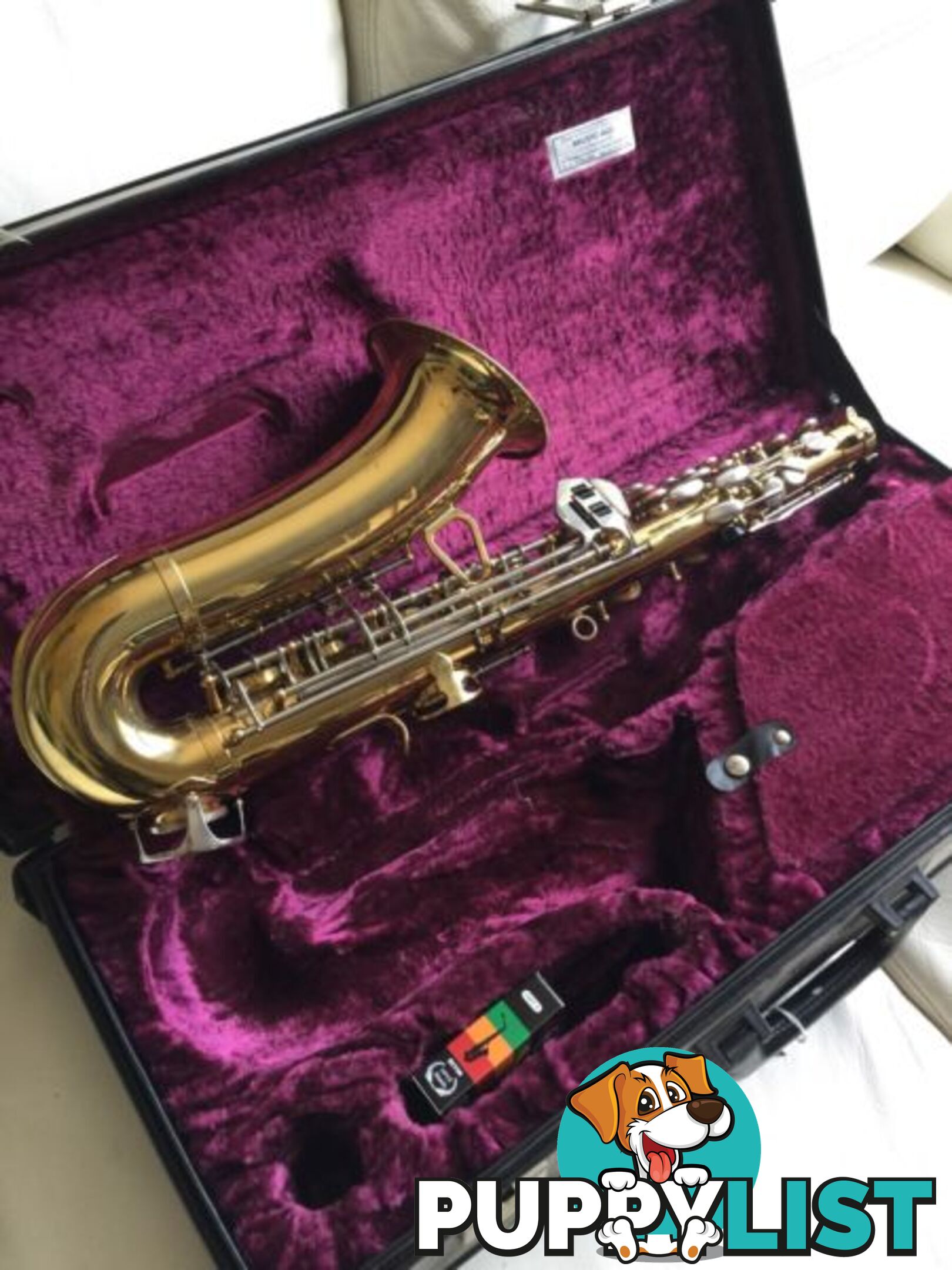 Beautiful vintage saxophone / Amati Kraslice / Sax alto / Czech