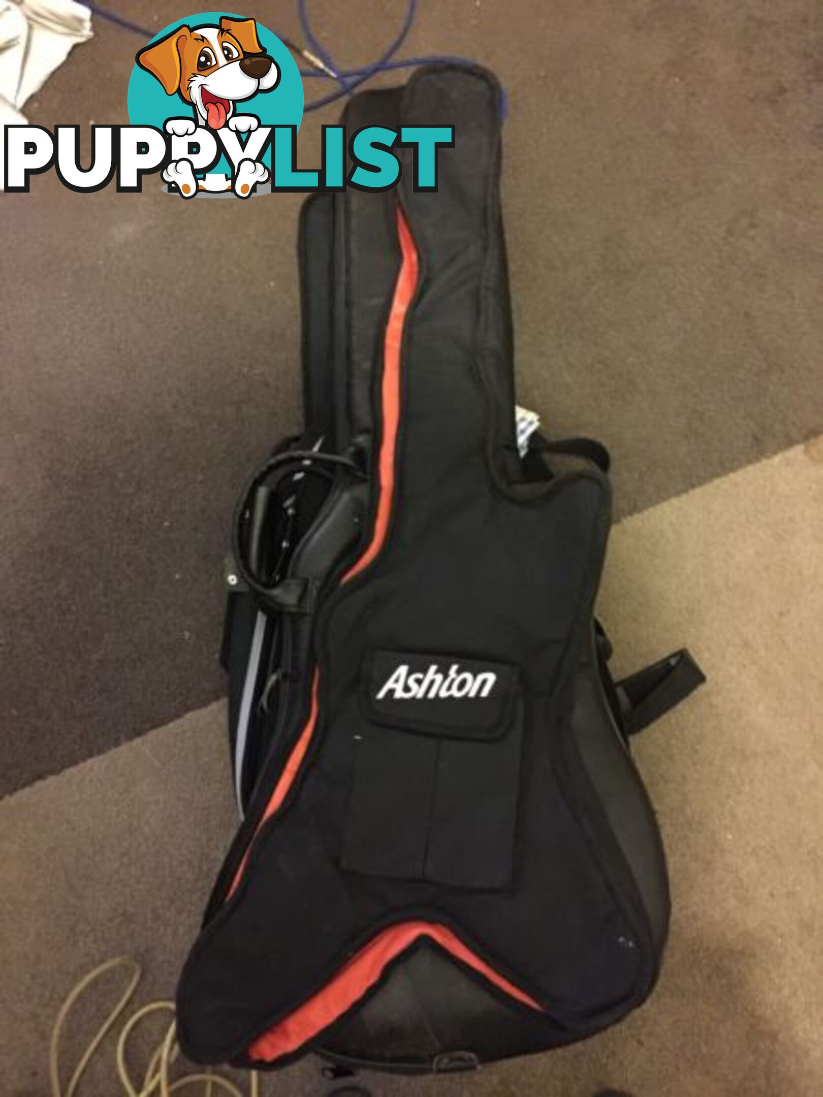 Ashton Guitar case / brand new