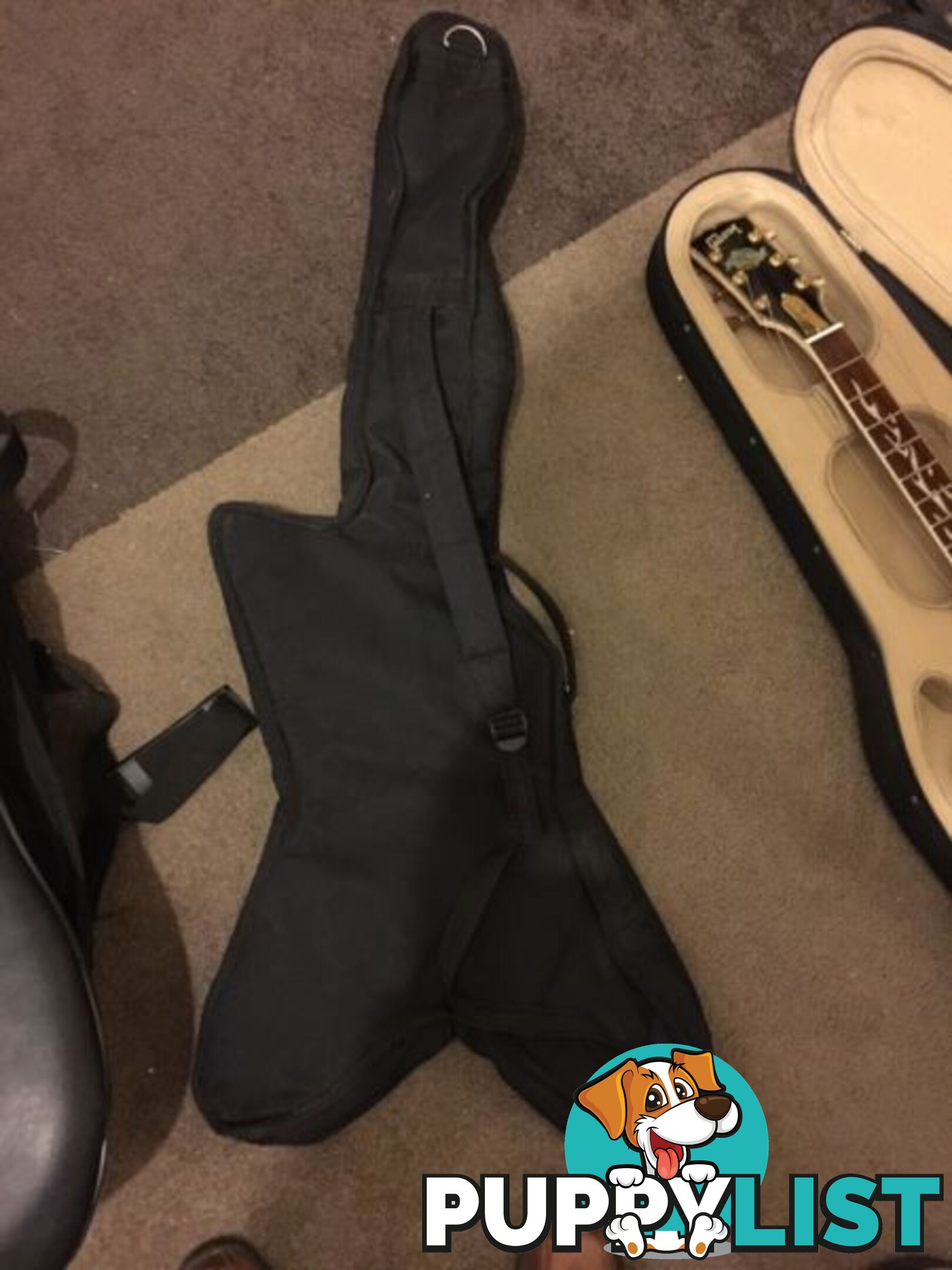 Ashton Guitar case / brand new