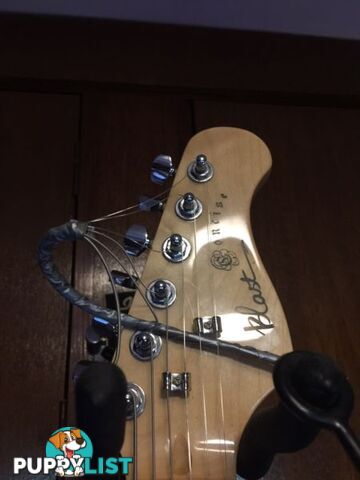 Beautiful 80's Stratocaster / Concise Blast