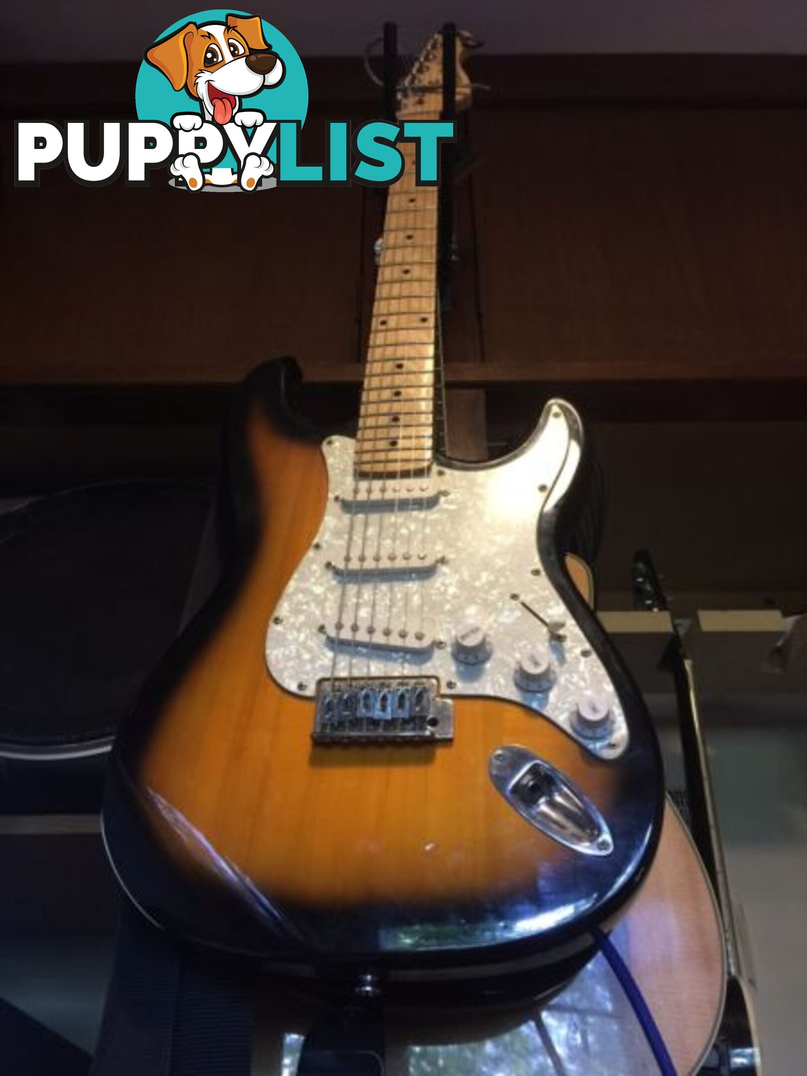 Beautiful 80's Stratocaster / Concise Blast