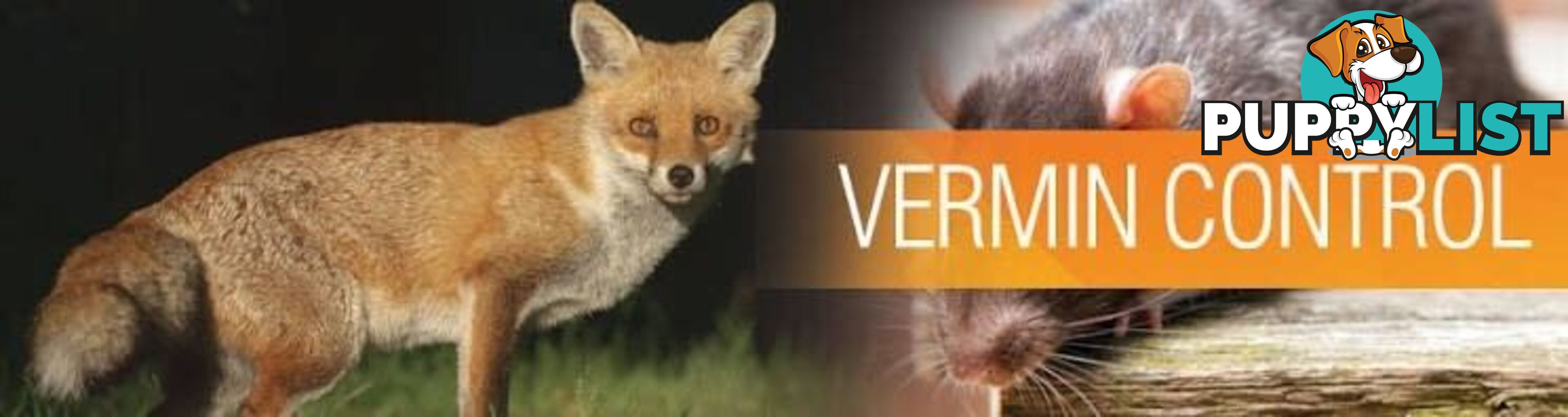 VERMIN CONTROL / On your property / Hunting / will Pay Target Shooting