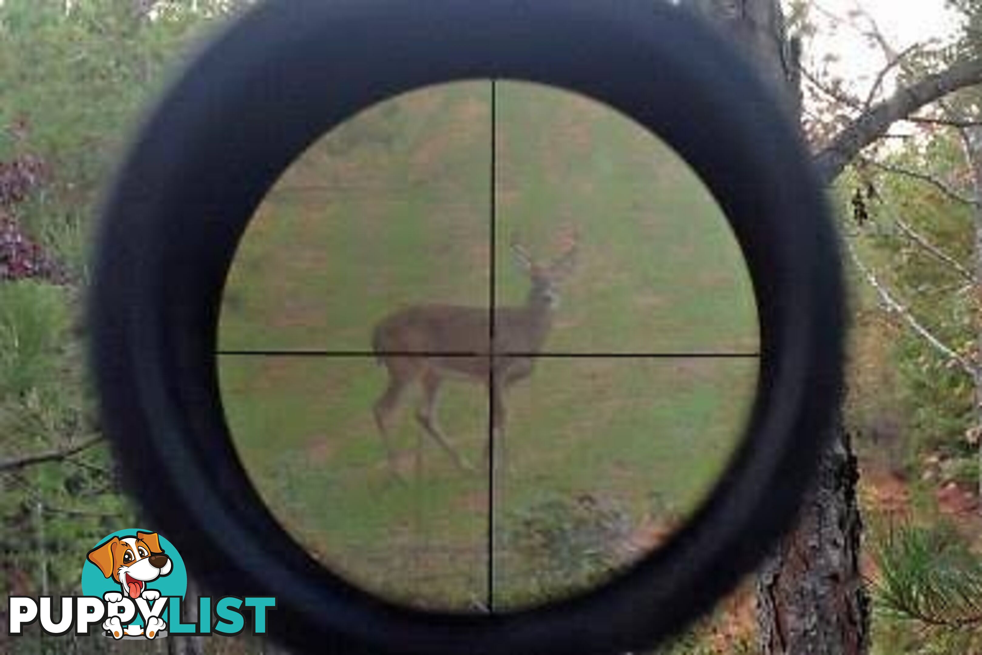 VERMIN CONTROL / On your property / Hunting / will Pay Target Shooting