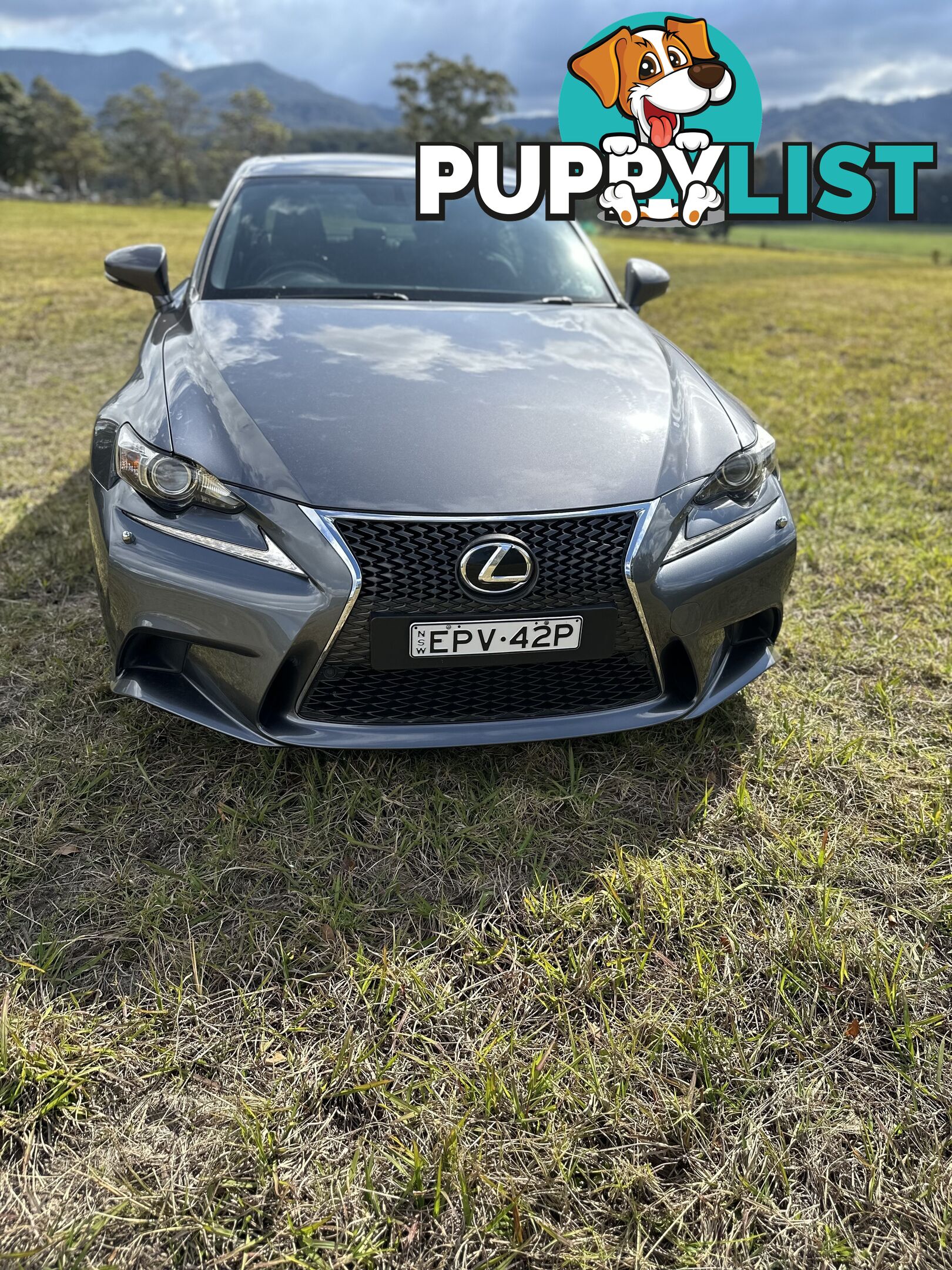 2013 Lexus IS GSE30R Sedan Automatic