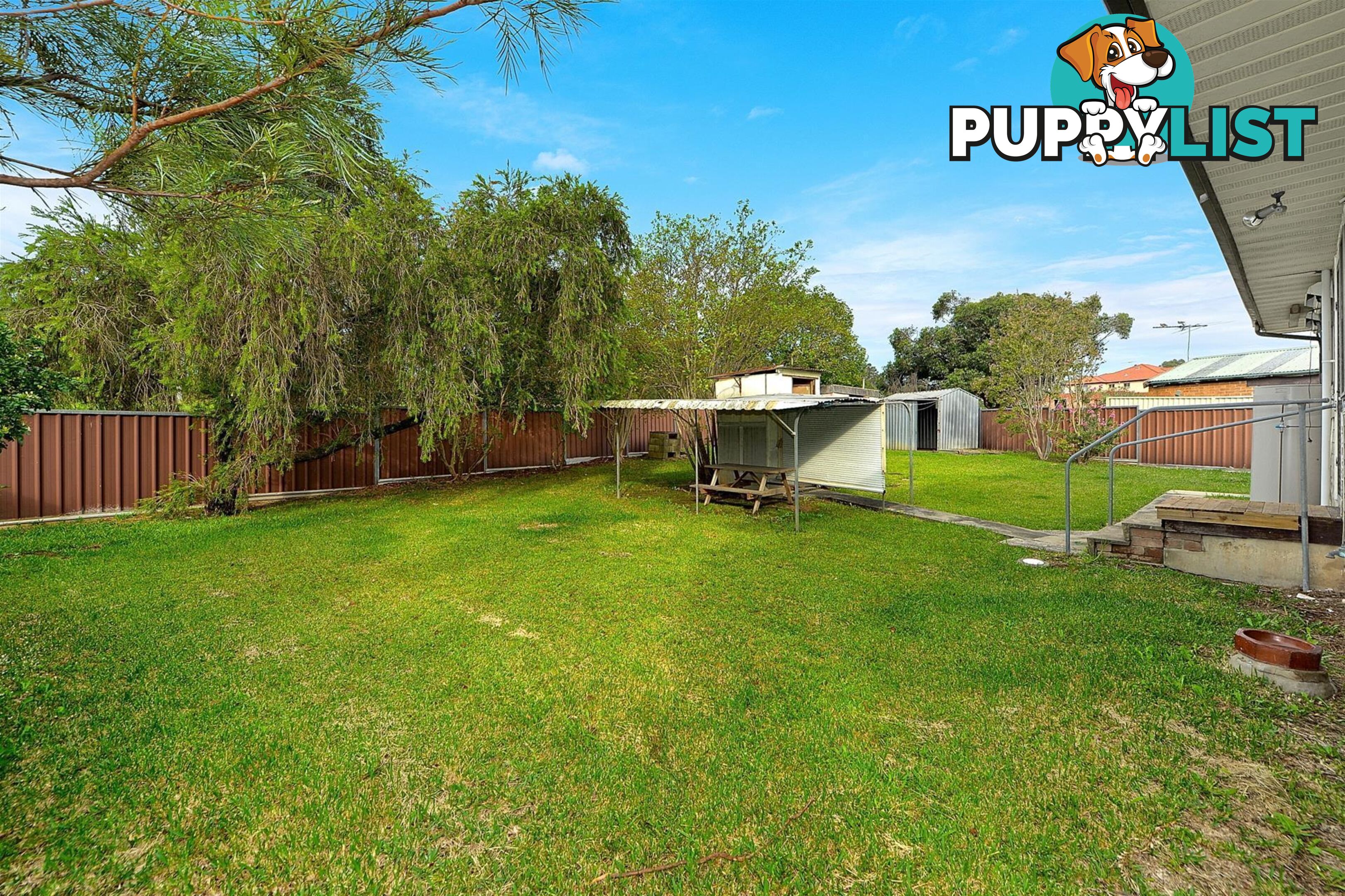 11 Beverley Crescent Chester Hill NSW 2162