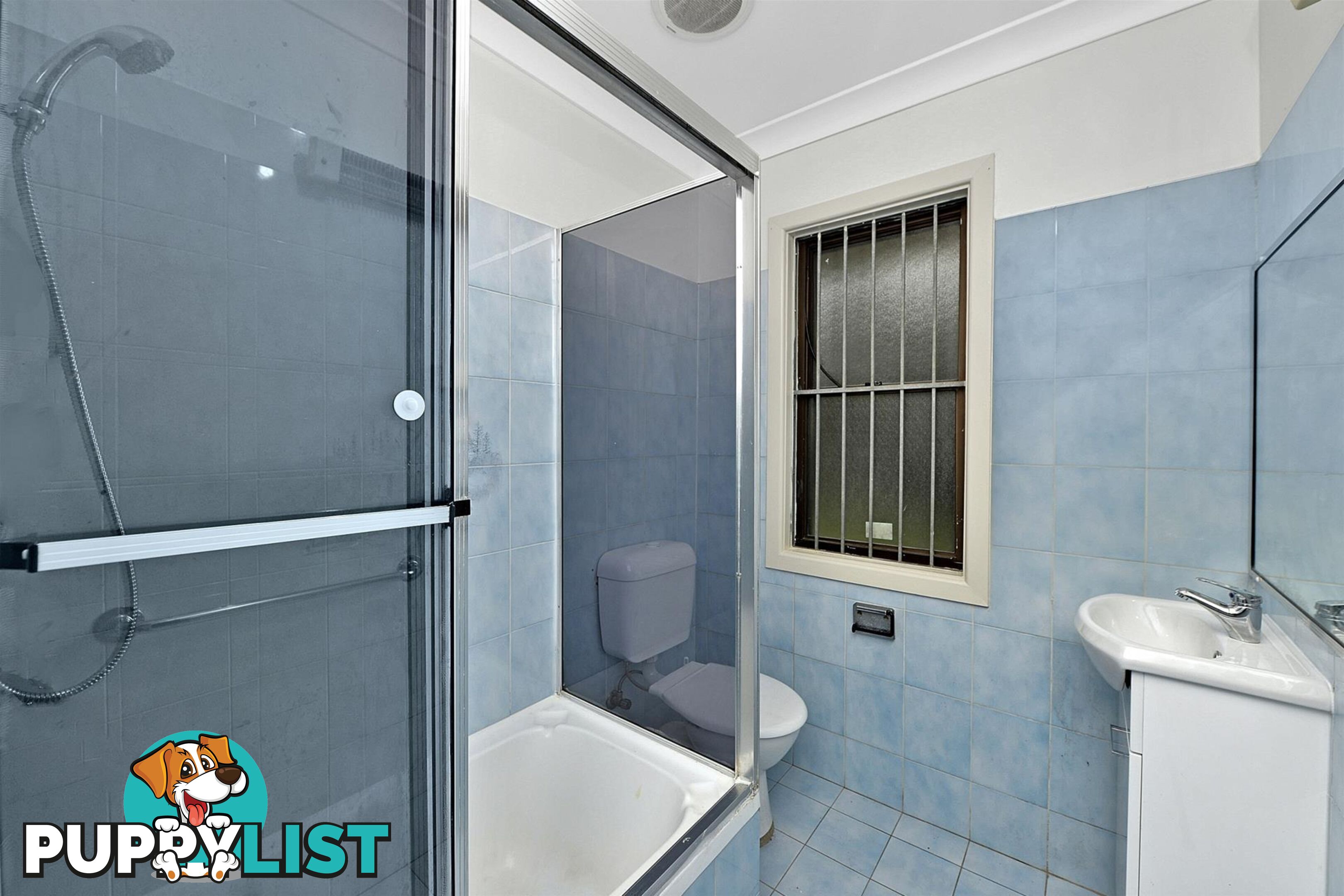 11 Beverley Crescent Chester Hill NSW 2162