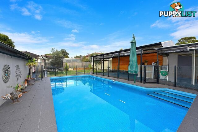 7 Vista Crescent Chester Hill NSW 2162