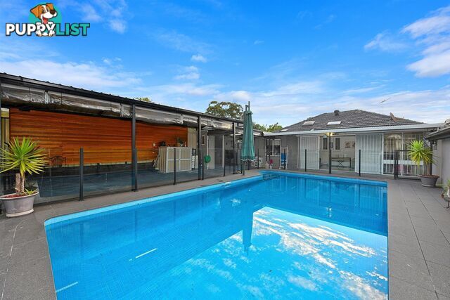 7 Vista Crescent Chester Hill NSW 2162