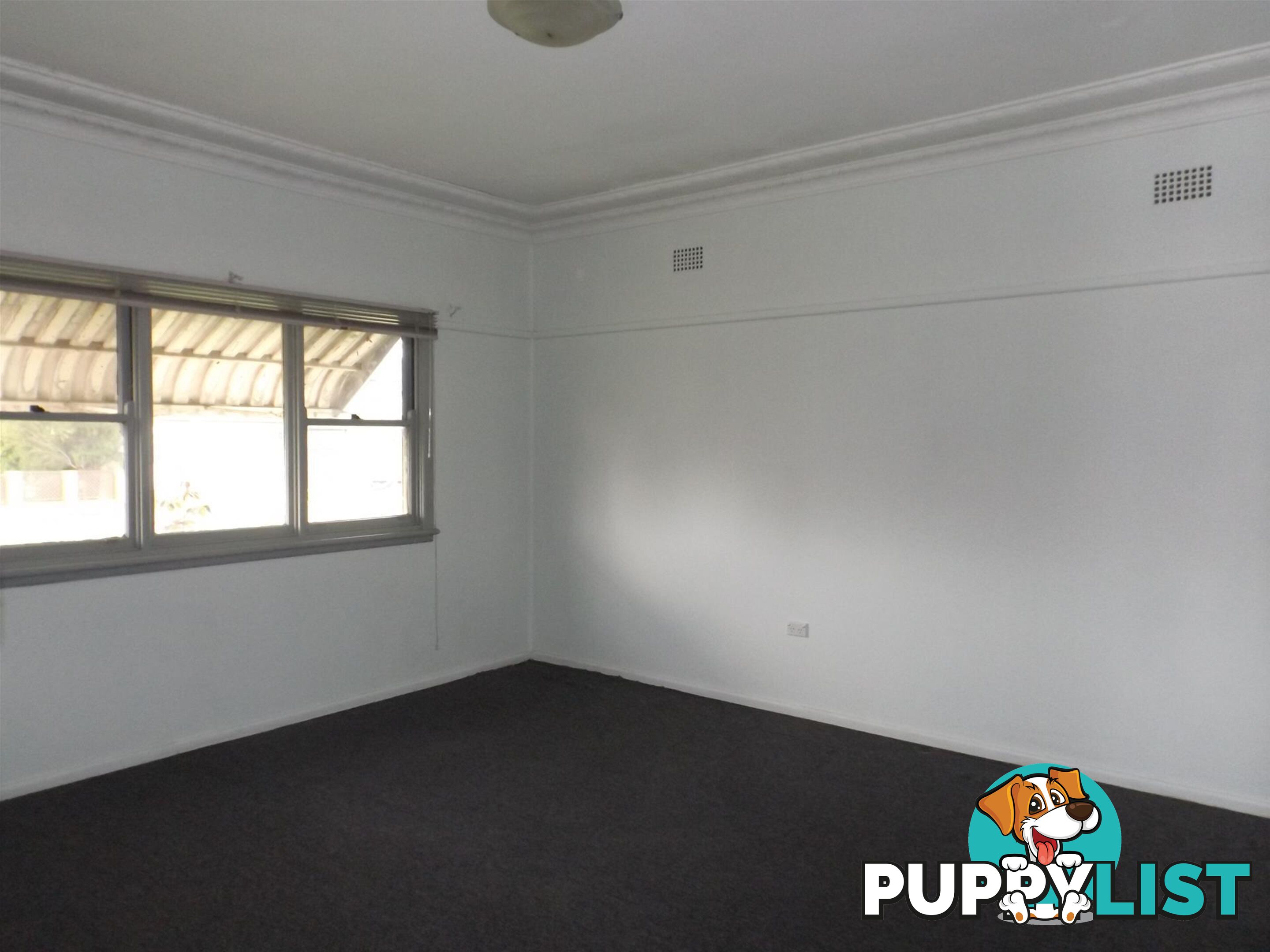 19 Hercules Street Fairfield East NSW 2165