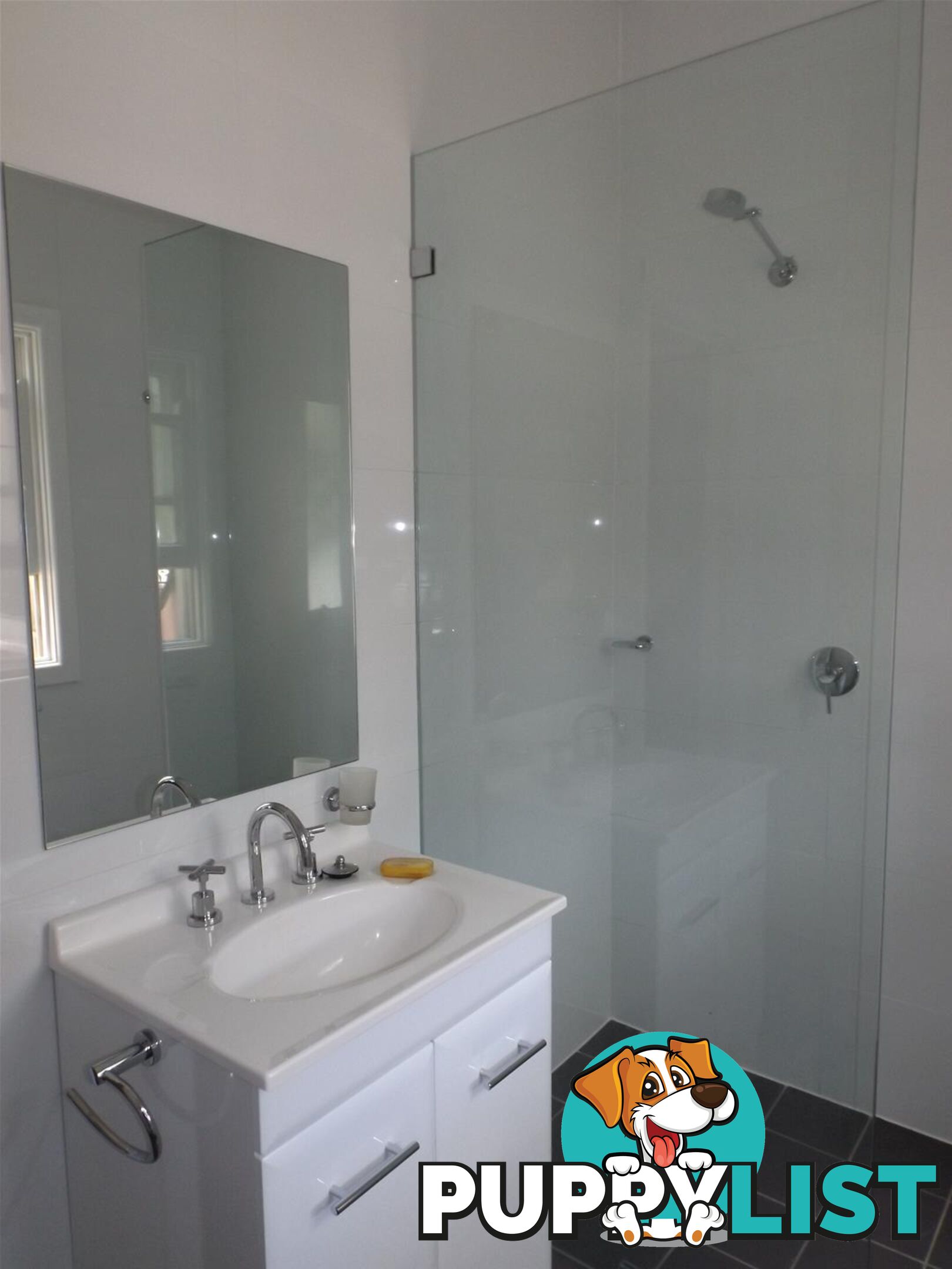 95 Cann Street Bass Hill NSW 2197