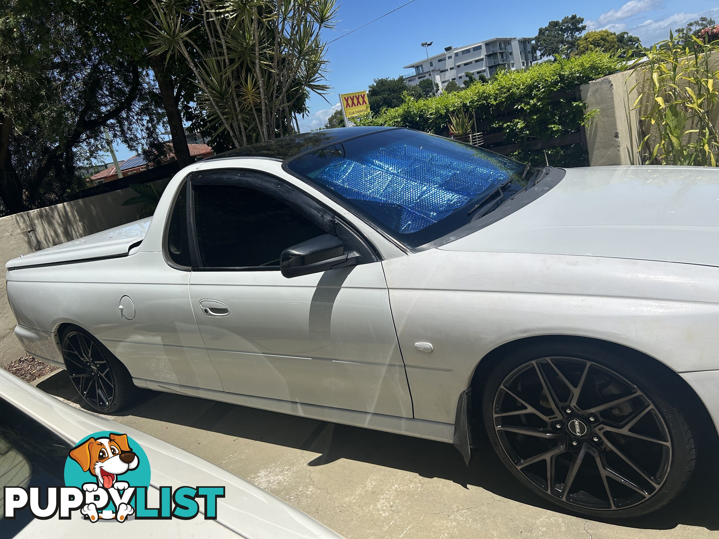 2006 Holden Commodore VZ SV6 Ute Manual