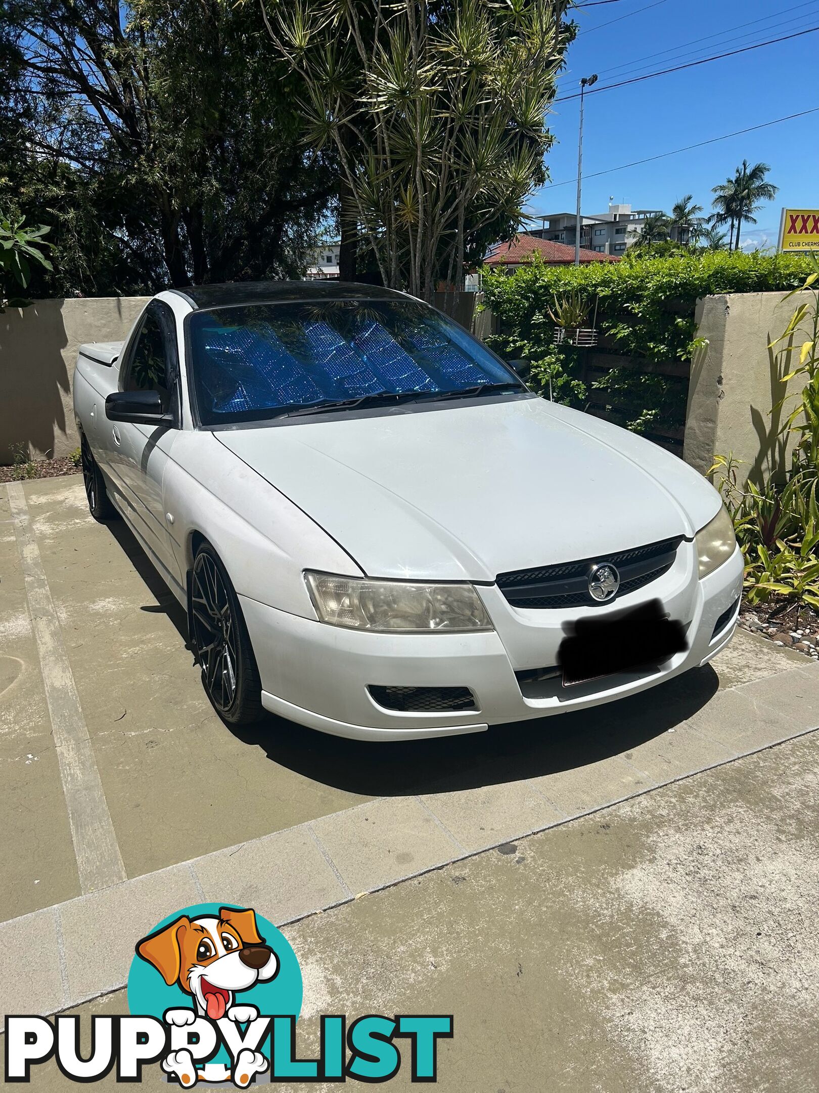 2006 Holden Commodore VZ SV6 Ute Manual